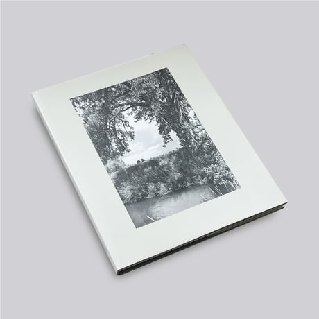 Robert Adams / Cottonwoods