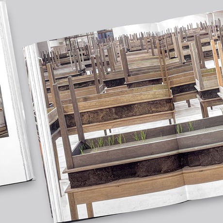 DORIS SALCEDO