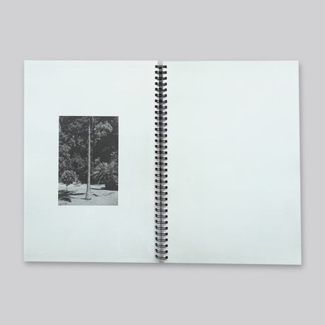 Sofia Masini / The body is a revelation as is landscape