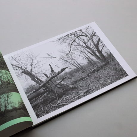 Jan Kempenaers / Hoboken