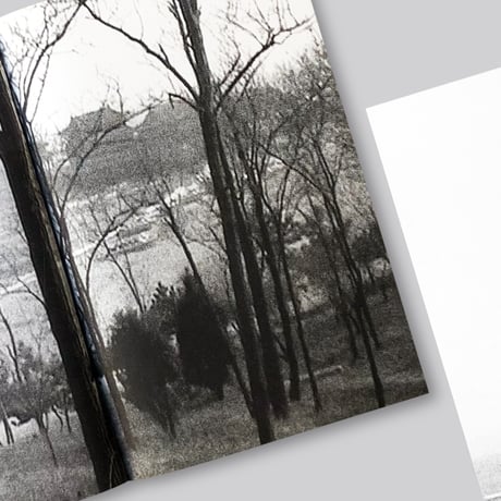 Alice Guareschi / White Yellow Red Black – A Chromatic Adventure