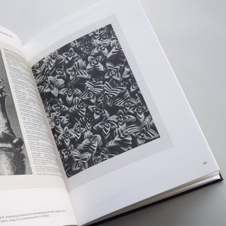 Ulrike Meyer Stump / Karl Blossfeldt: Variations
