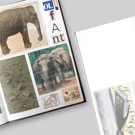 Lous Martens / Animal Books for Jaap, Zeno, Anna, Julian & Luca (new edition)