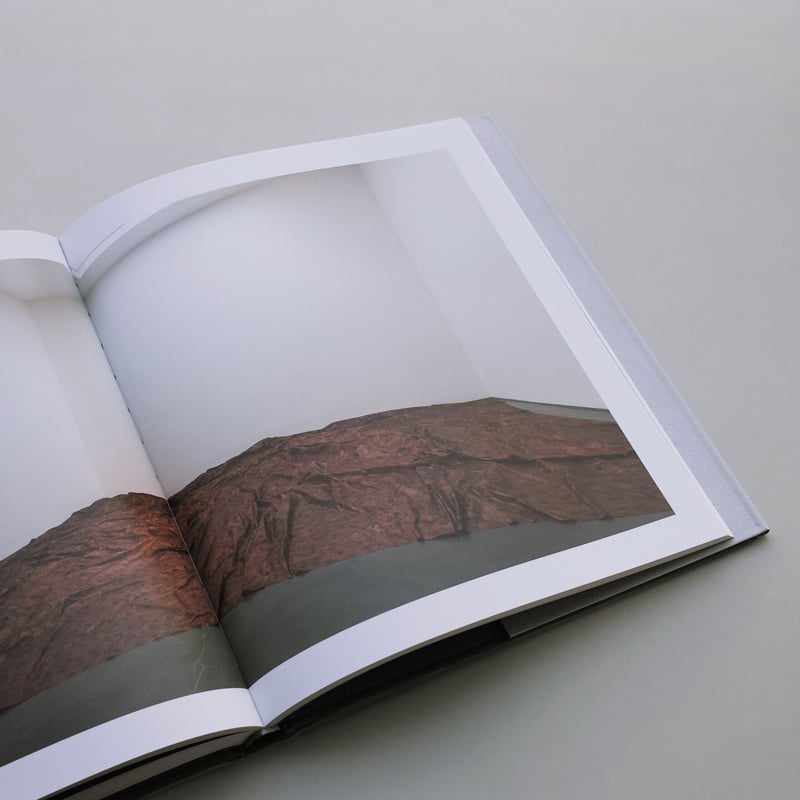 Doris Salcedo ドリス サルセド Contemporary 作品集 Doris Salcedo ドリス サルセド Contemporary 作品集 Doris