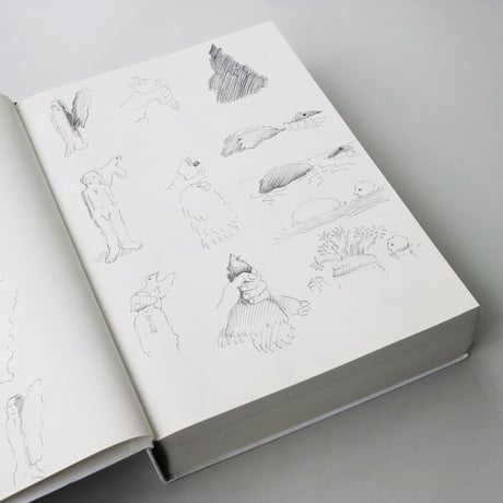 David Weiss / DIE WANDLUNGEN