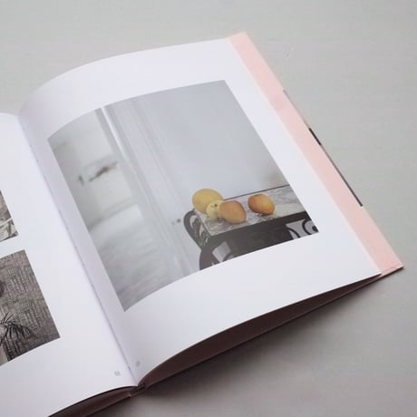 Roselyne Titaud / Geographies Des Limites Humaines