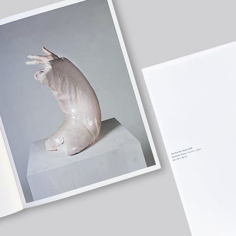 Erwin Wurm / Dissolution