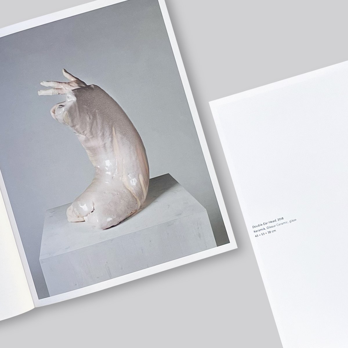 Erwin Wurm / Dissolution | POST