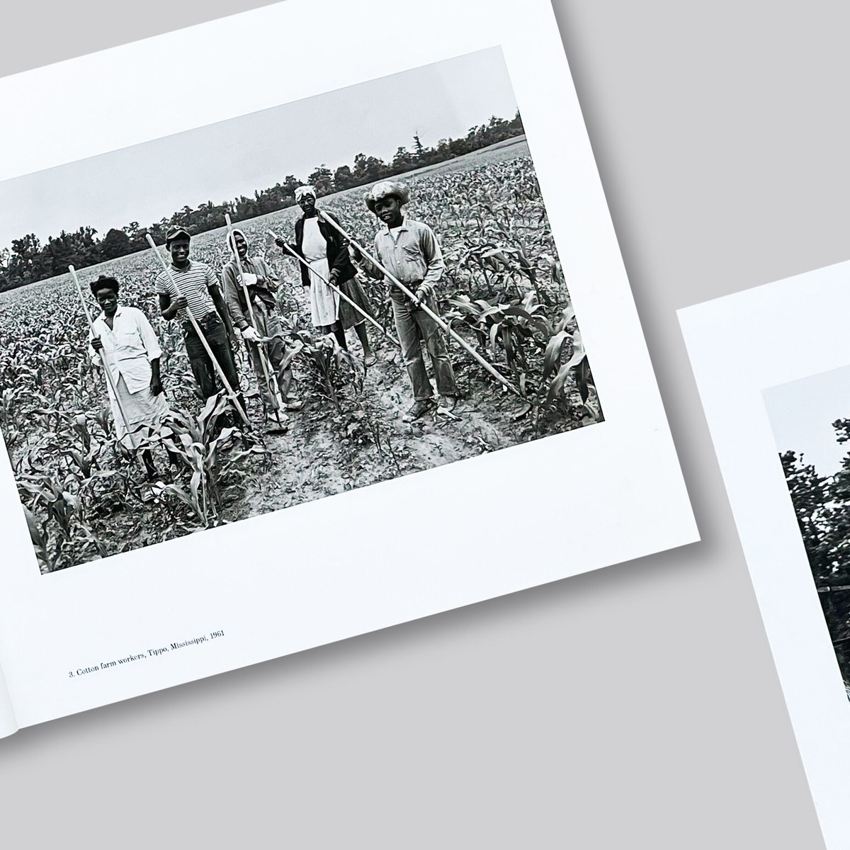 Lee Friedlander / Workers - The Human Clay | POST