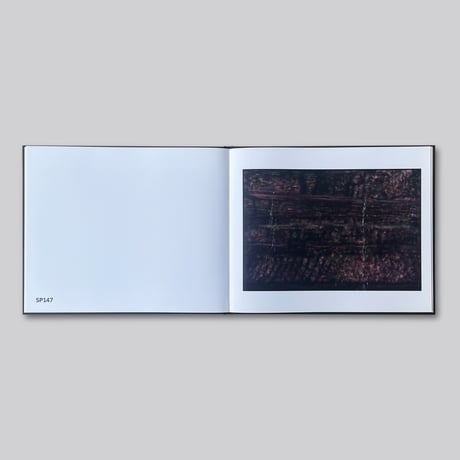 Sterling Ruby  / PAINTINGS