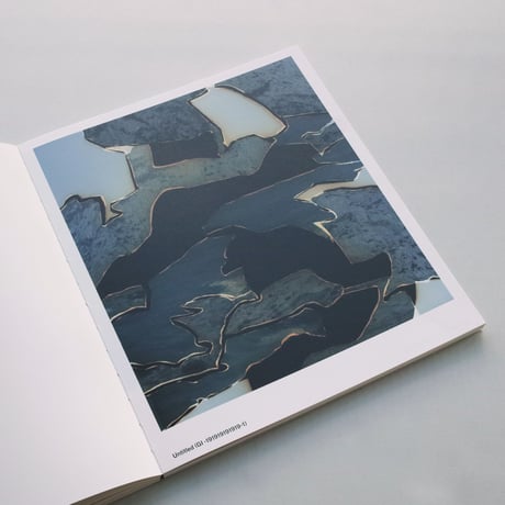 Dafna Talmor / Constructed Landscapes