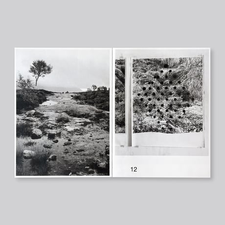Bas Ketelaars / Edges of Landscape