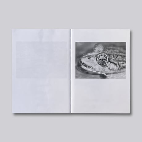 Jochen Lempert / Local Ecology – Moulin des Ribes