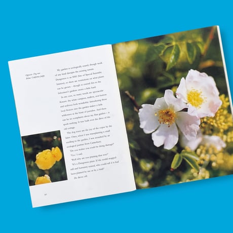【T&H】Derek Jarman / Derek Jarman's Garden