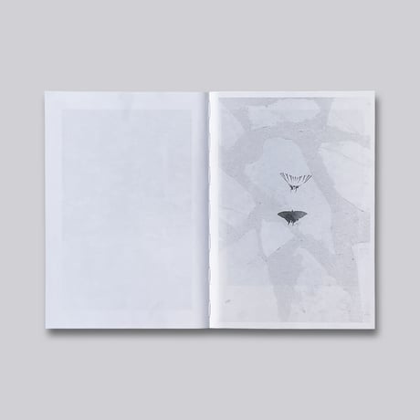Jochen Lempert / Local Ecology. Kastellorizo