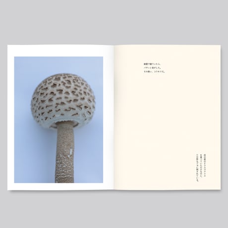【cut print edition】群れた島々と キノコたち / Islands, Islets, and Their Mushrooms