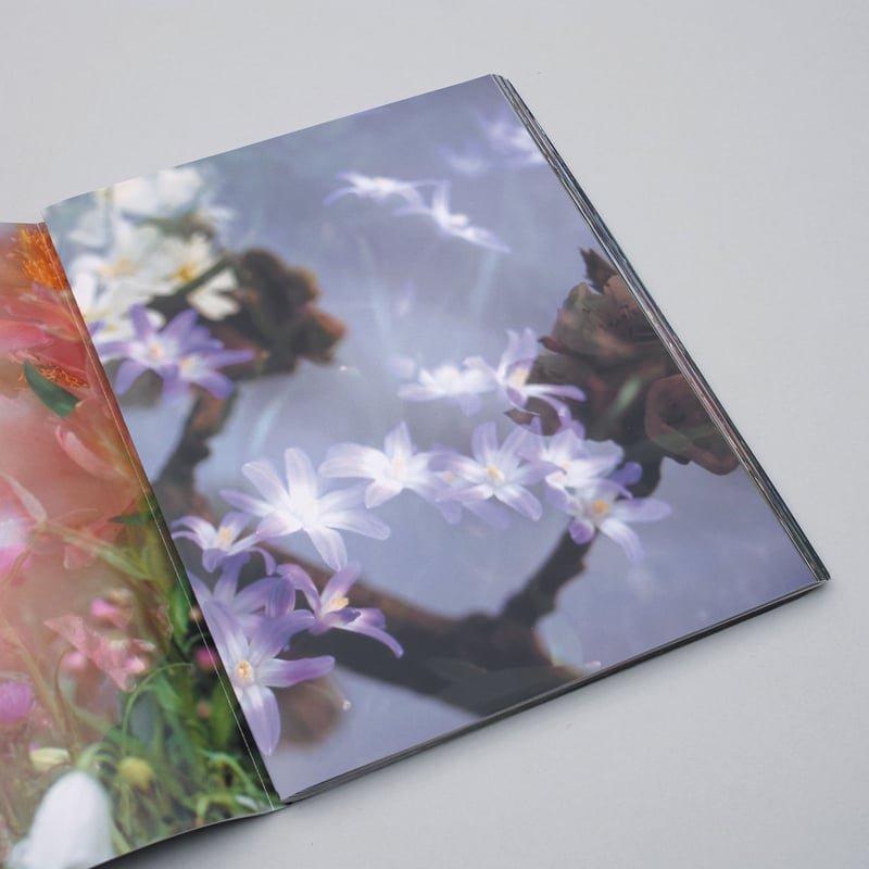 Peter Fischli and David Weiss / Flowers and Mus