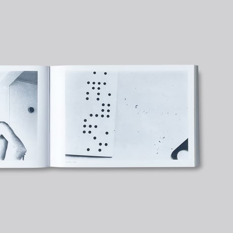 Herman de vries / A Random Sample Of The Seeings Of My Beings