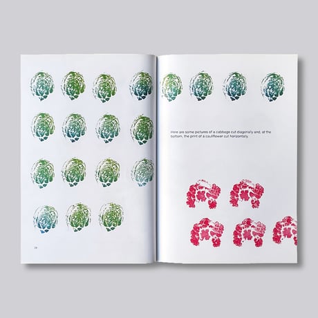 Bruno Munari / Roses in the Salad