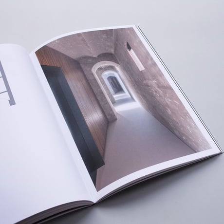 Serge Schoemaker Architects / Strategic Interventions