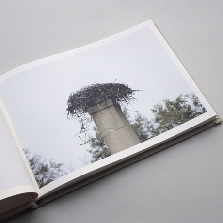 アバロス村野敦子 / Empty Nests（Signed）