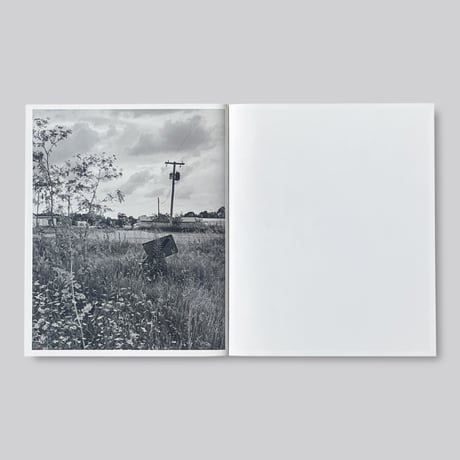 Tim Carpenter / LITTLE