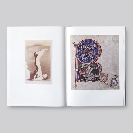 Mark Manders / La scomparsa degli sciapodi