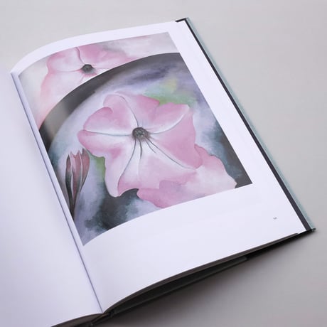 Modern Nature : Georgia O'Keeffe and Lake George