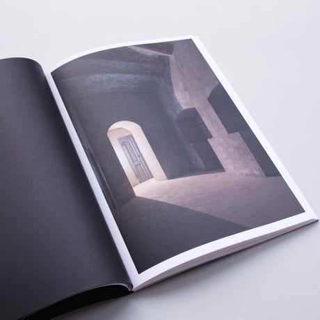Serge Schoemaker Architects / Strategic Interventions