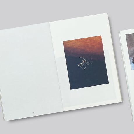 Lenard Smith / Refuge