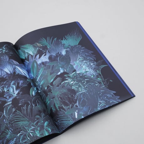 Stéphanie Roland / Event Horizon (l'Horizon des événements)
