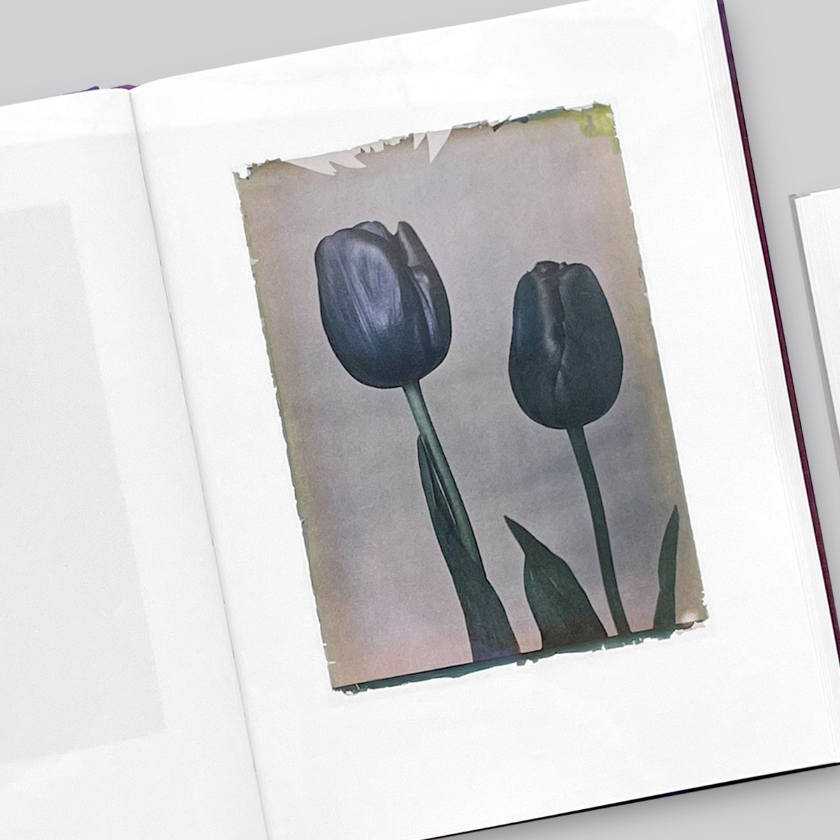 LEENDERT BLOK / LES EXTRAVAGANTES | POST