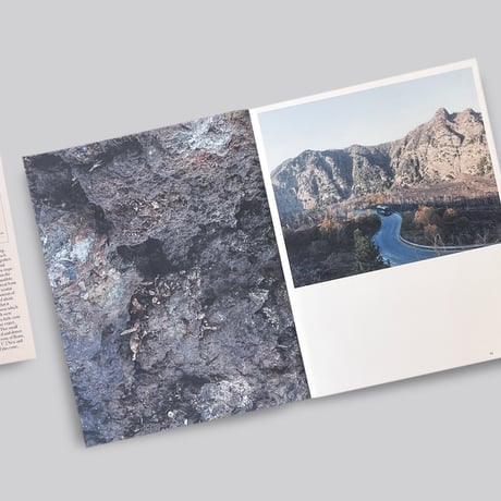 Arnout De Cleene / Michiel De Cleene: Amidst the fire, I am not burnt Surface Reading