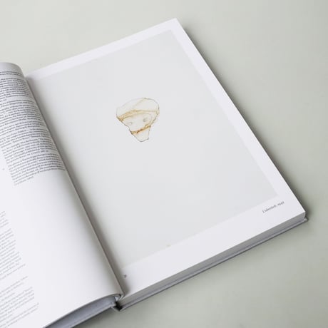 Joseph Beuys / Intuition! Dimensions of the Early Work of Joseph Beuys