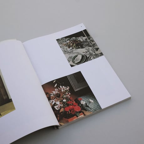 Andrea Salerno, Yeliz Secerli / ARRANGING FLOWER ARRANGING