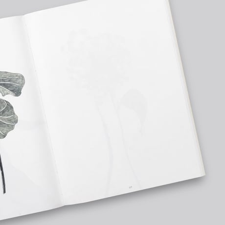 Herma de Wit / Sculptures and Drawings