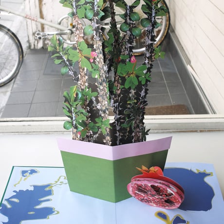Daniel Gordon / Houseplants