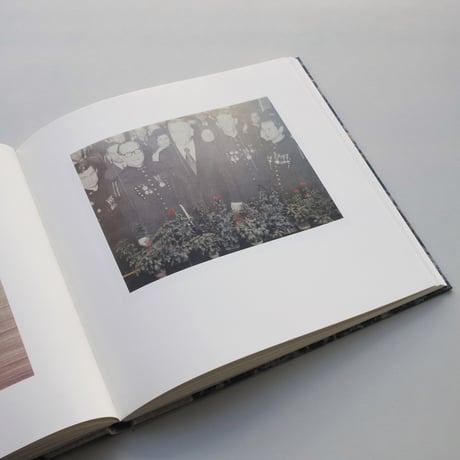 Luigi Ghirri / Cardboard Landscapes