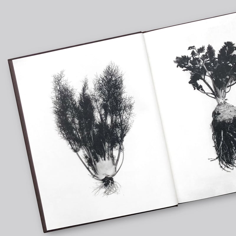 Sachiko Morita / Time in Air, Time in Paper | POST Sachiko Morita / Time in Air, Time in Paper | POST