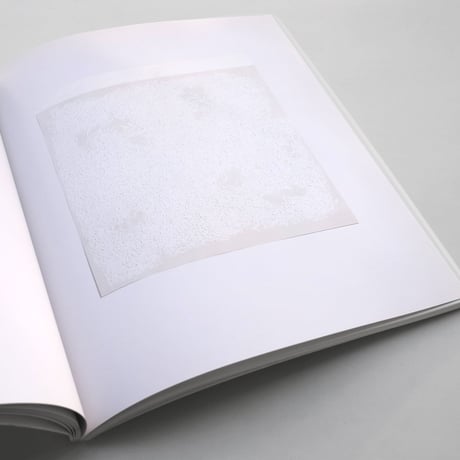 Robert Ryman / versions