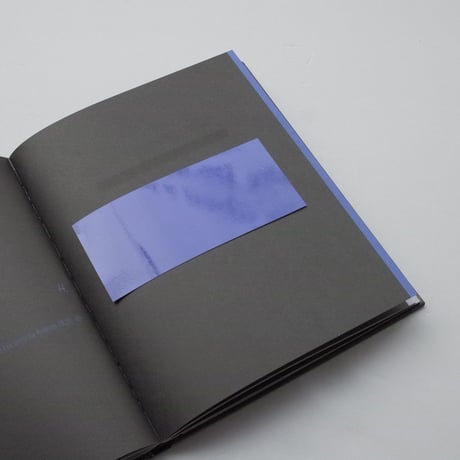 Joseph Kosuth / Colour In Contextual Play - An Installation By Joseph Kosuth