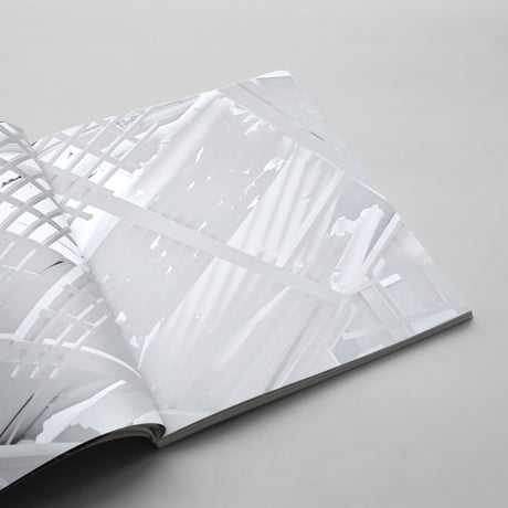 Rachel Whiteread / Internal Objects