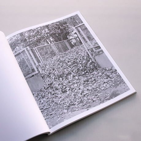 Bertrand Cavalier / Concrete Doesn't Burn