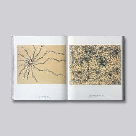 Ruth Asawa / Through Line