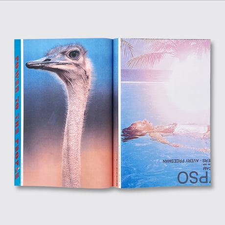 STEDELIJK MUSEUM Posters by Color