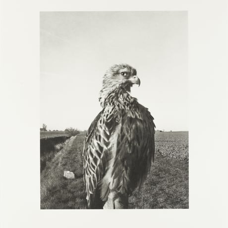 Stephen Gill / The Pillar - Collotype 1 - Edition 30