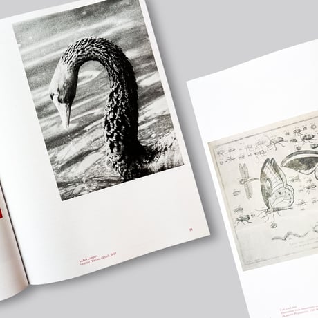 Jens Hoffmann / Animality