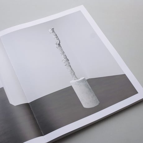 Cy Twombly / Sculpture