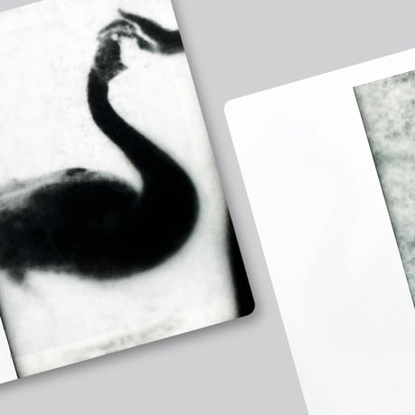 Ronit Porat / Hunting In Time