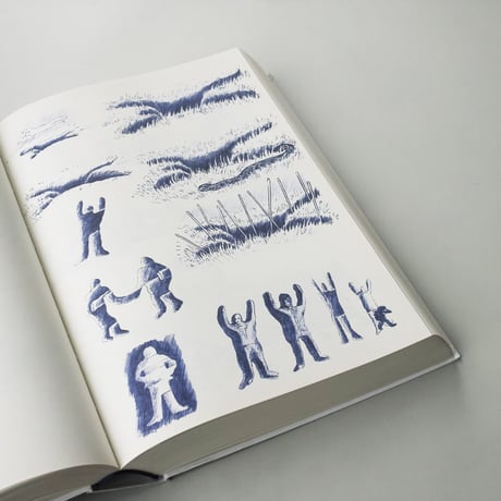 David Weiss / DIE WANDLUNGEN